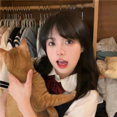 说得好，小猫咪！